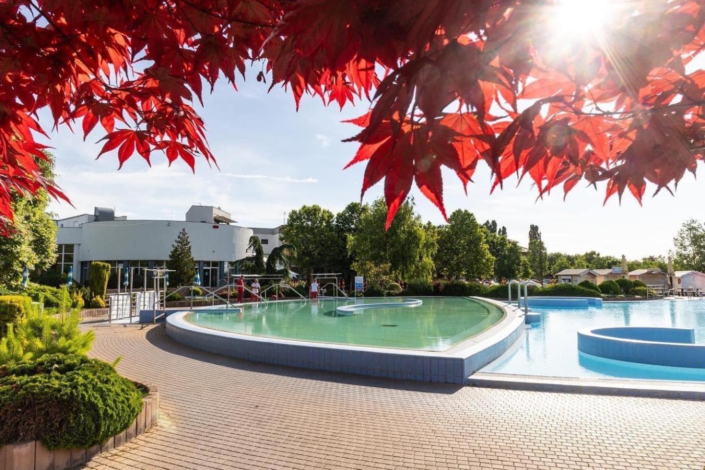Dom Alex Pri Kupalisku Thermalpark Дунайска-Стреда Экстерьер фото